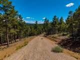 TBD Chipmunk Drive - Photo 5
