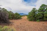 1920 County Road 510 - Photo 47