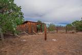 1920 County Road 510 - Photo 48
