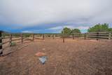 1920 County Road 510 - Photo 49