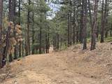 11491 Chinook - Photo 29