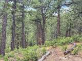 11491 Chinook - Photo 6