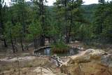 19084 County Road 31.9 - Photo 17