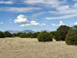 TBD Silver Spurs Ranch Filing #4 - Photo 11