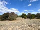 TBD Silver Spurs Ranch Filing #4 - Photo 13