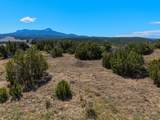 Lot 7 Tyson Ct - Photo 10
