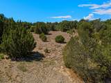 Lot 7 Tyson Ct - Photo 6