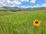TBD Paradise Acres - Photo 22