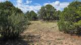 7 La Veta Pines Ranches - Photo 10