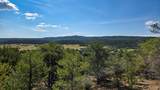 7 La Veta Pines Ranches - Photo 11