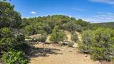 7 La Veta Pines Ranches - Photo 12