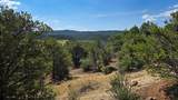 7 La Veta Pines Ranches - Photo 13
