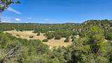 7 La Veta Pines Ranches - Photo 4