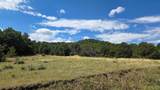 7 La Veta Pines Ranches - Photo 5