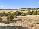 TBD County Road 88 - Photo 1