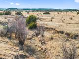 TBD County Road 88 - Photo 14
