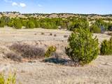 TBD County Road 88 - Photo 15