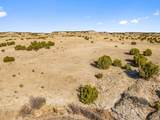 TBD County Road 88 - Photo 16