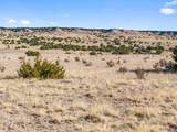 TBD County Road 88 - Photo 2