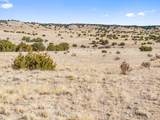 TBD County Road 88 - Photo 3