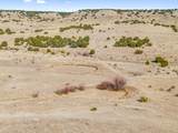 TBD County Road 88 - Photo 9