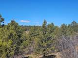 TBD Ponderosa Drive - Photo 9