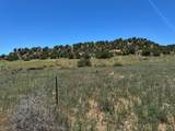 3625 County Road 620 - Photo 21