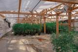 180 Co Rd 599 - Photo 21