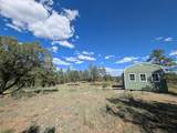 13115 Silver Spruce Circle - Photo 13