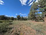 13115 Silver Spruce Circle - Photo 14