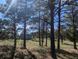 13115 Silver Spruce Circle - Photo 2