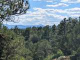 13115 Silver Spruce Circle - Photo 5
