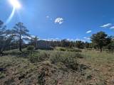 13115 Silver Spruce Circle - Photo 6