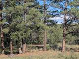 13115 Silver Spruce Circle - Photo 7
