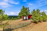 TBD Gene Spur - Photo 25