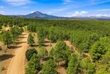 TBD Gene Spur - Photo 35
