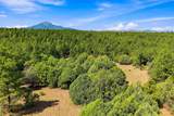 TBD Gene Spur - Photo 37
