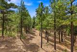 TBD Gene Spur - Photo 40