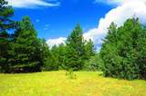 TBD Gene Spur - Photo 54