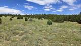20 Colorado Mountain Lake Est. - Photo 10