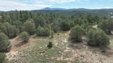 20 Colorado Mountain Lake Est. - Photo 12