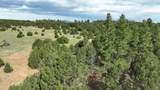 20 Colorado Mountain Lake Est. - Photo 13