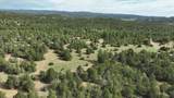 20 Colorado Mountain Lake Est. - Photo 15