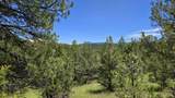 20 Colorado Mountain Lake Est. - Photo 2