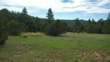 20 Colorado Mountain Lake Est. - Photo 23