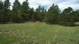 20 Colorado Mountain Lake Est. - Photo 24