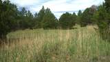 20 Colorado Mountain Lake Est. - Photo 25