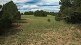 20 Colorado Mountain Lake Est. - Photo 27