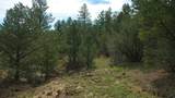 20 Colorado Mountain Lake Est. - Photo 28