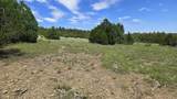 20 Colorado Mountain Lake Est. - Photo 3